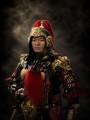 Beiwei Army Armor