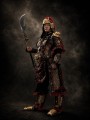 Beiwei Army Armor