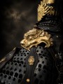Qi Jiguang's armor